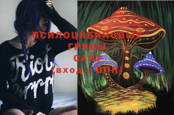 PSILOCYBIN Покровск