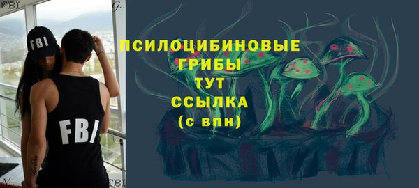 PSILOCYBIN Покровск