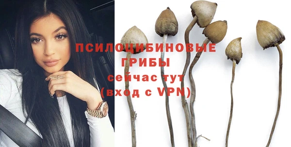 PSILOCYBIN Покровск