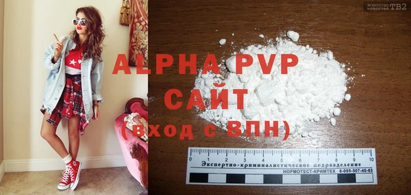 спиды Покачи