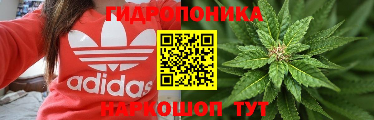 Бошки марихуана индика  Вход с VPN  Саров  Шишки марихуана тримм  Бошки марихуана THC 21% 